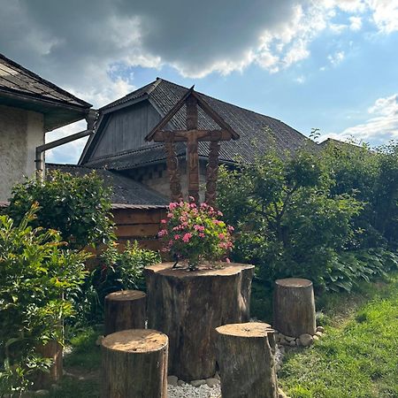 La Curtea Veche Apartment Lapus Luaran gambar