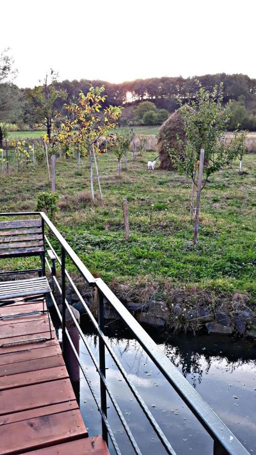 La Curtea Veche Apartment Lapus Luaran gambar