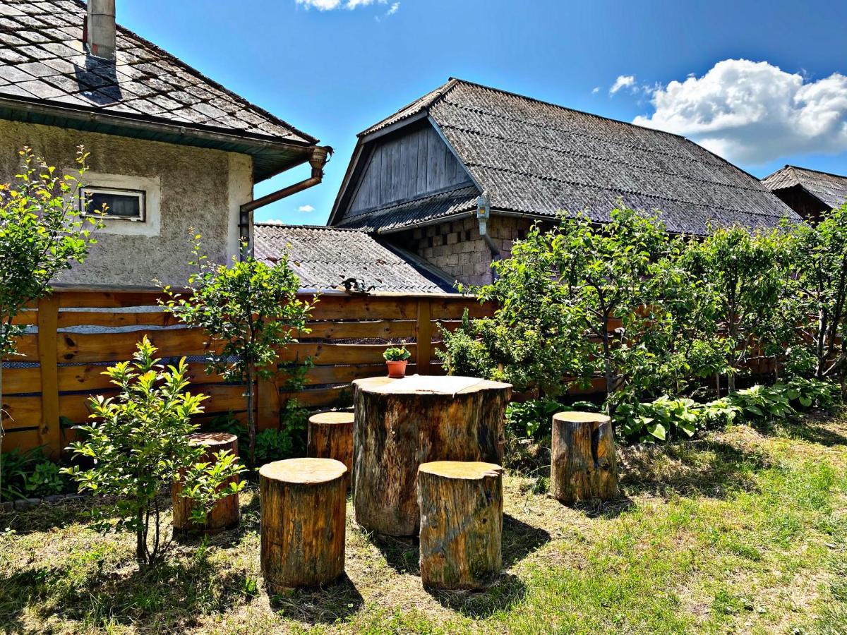 La Curtea Veche Apartment Lapus Luaran gambar