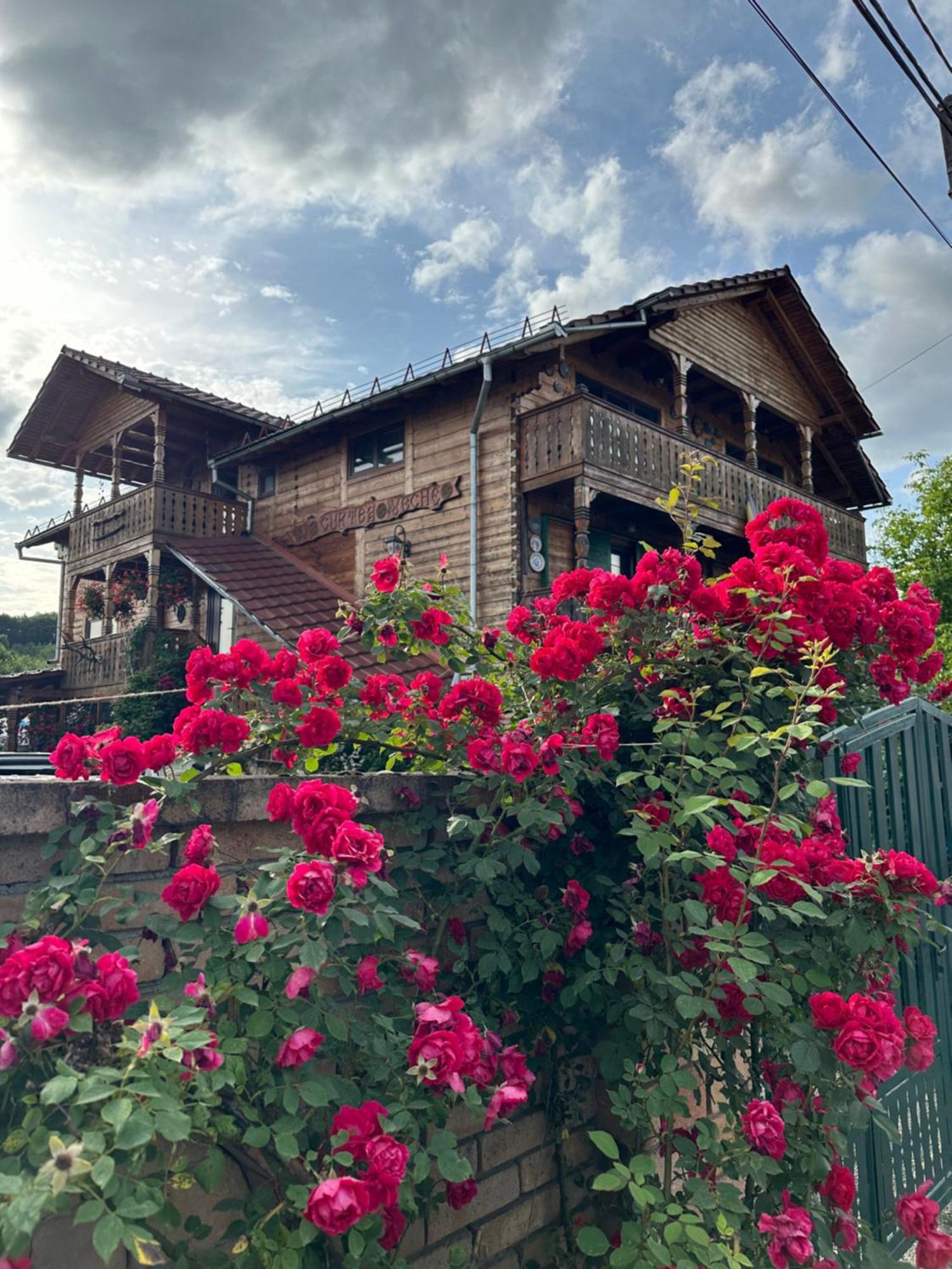 La Curtea Veche Apartment Lapus Luaran gambar